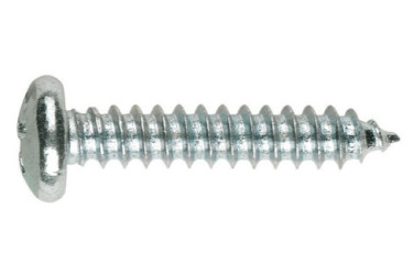 TORN. ROSCA CHAPA (100 uds.) 10X2  268823