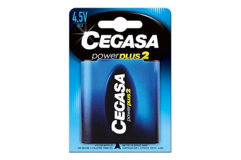 PILA PETACA SALINA POWER PLUS 2 CEGASA 3R12 (BL.1)