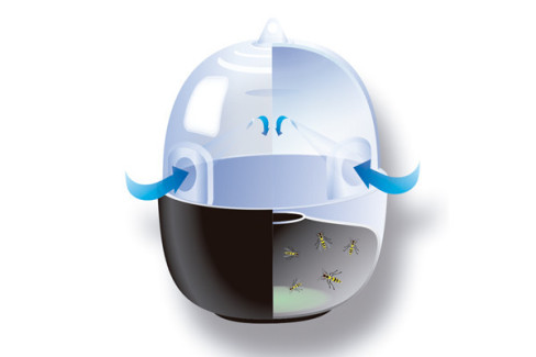 TRAMPA ATRAPA AVISPAS BRIXO  800922