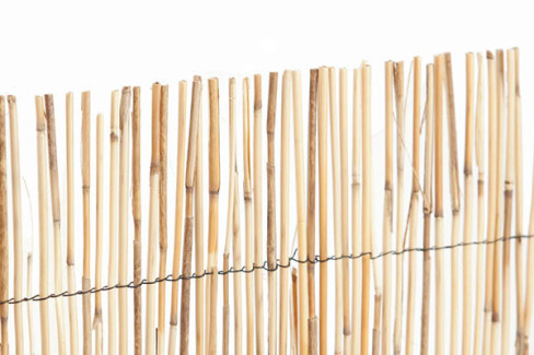 CAÑIZO BAMBU PELADO BRIXO 1.5 X 5  114089