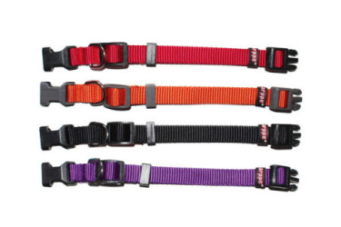COLLAR PERRO REG. NYLON BASIC 224001-25 21-32 CM