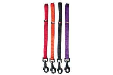 CORREA PERRO NYLON BASIC 224401-10 120X1 CM