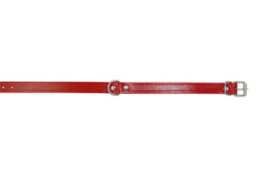 COLLAR PERRO 55 CM  138497