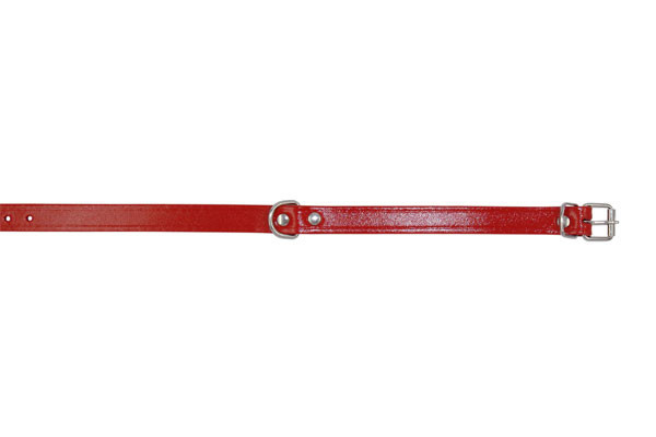 COLLAR PERRO 55 CM  138497